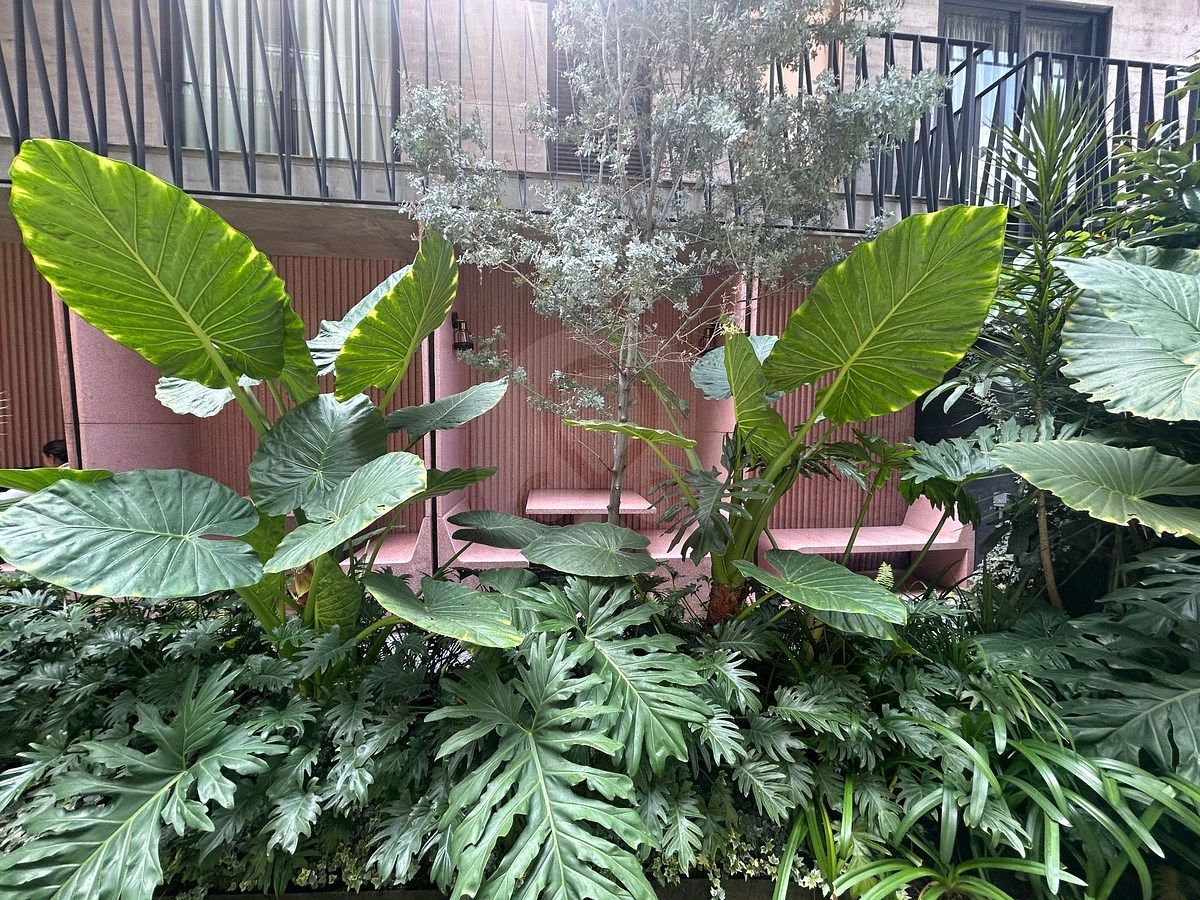 Departamento en Roma Norte, Cuauhtémoc, foto 40 de 45