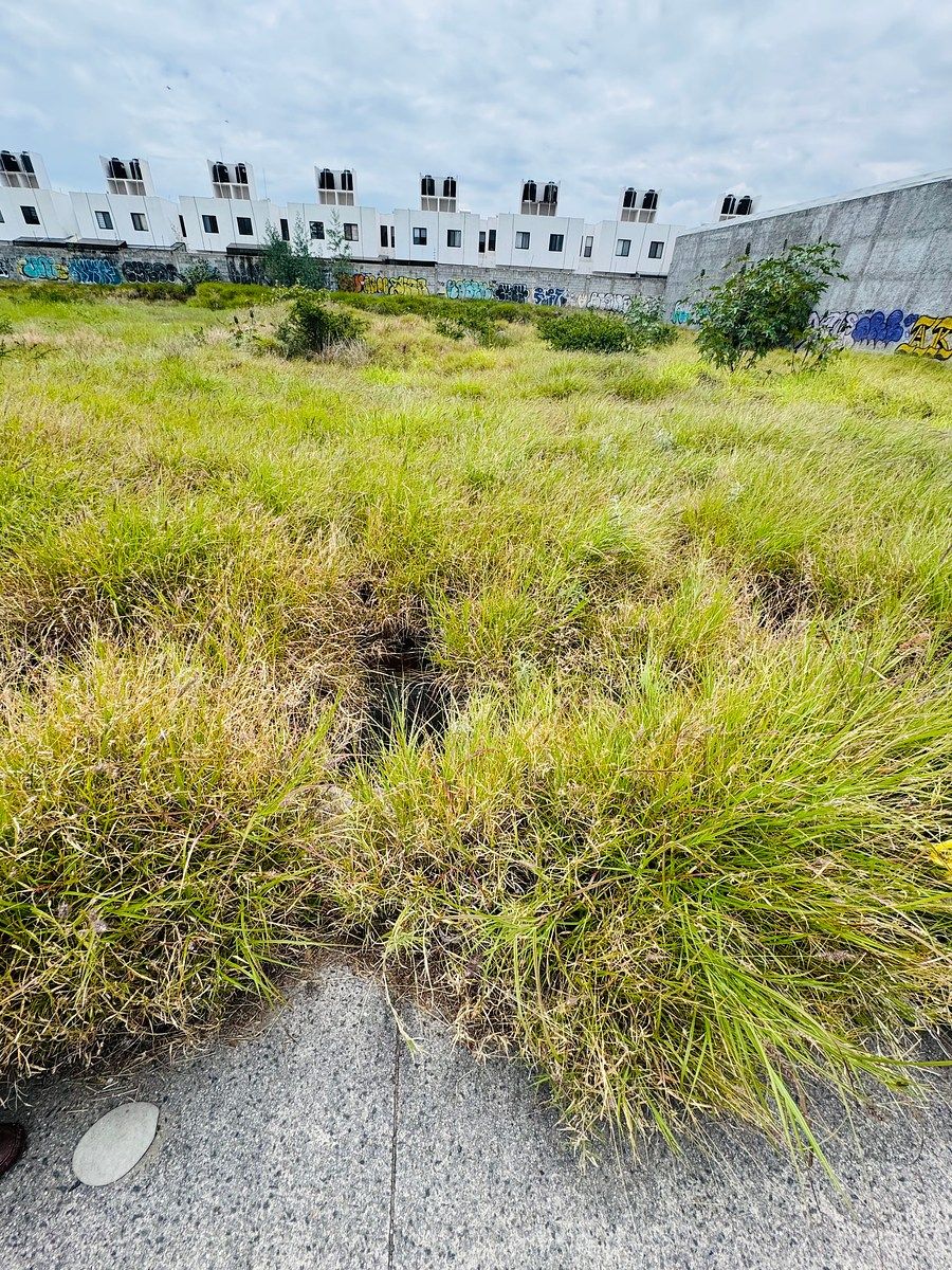 Terreno comercial en Lomas de San Ángel, Querétaro, foto 3 de 5