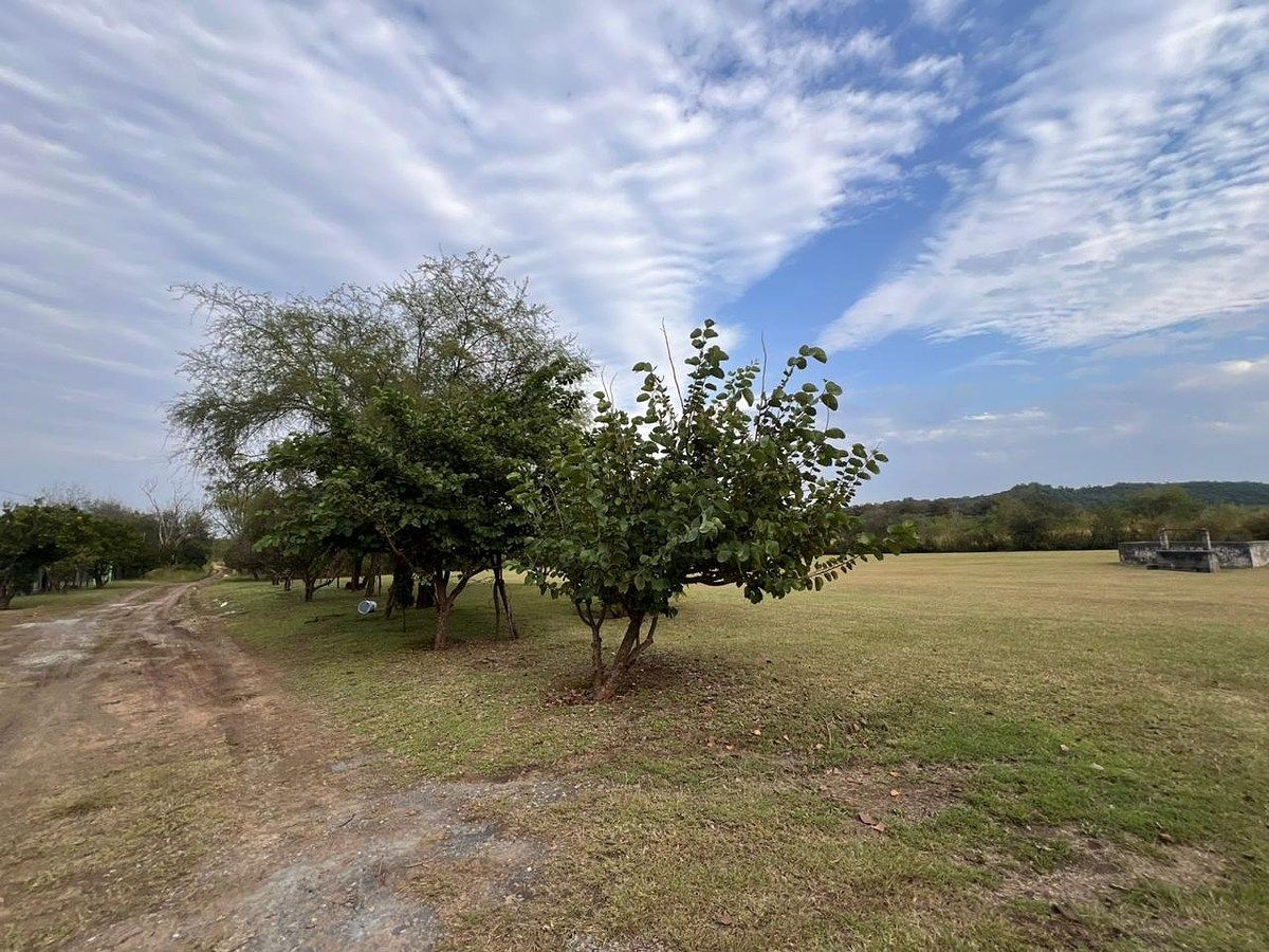 Lot in Los Guzmán, Allende, photo 5 of 7