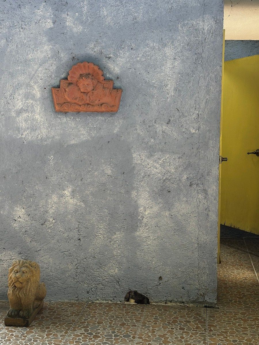 Local comercial en Las Granjas, Cuernavaca, foto 10 de 21