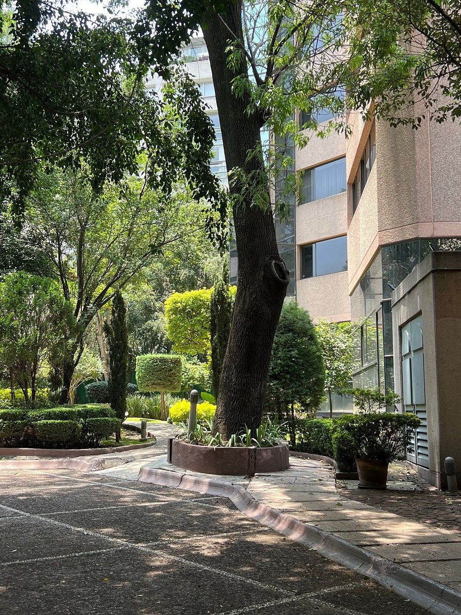 Departamento en Lomas de Chapultepec III Sección, Miguel Hidalgo, foto 24 de 29