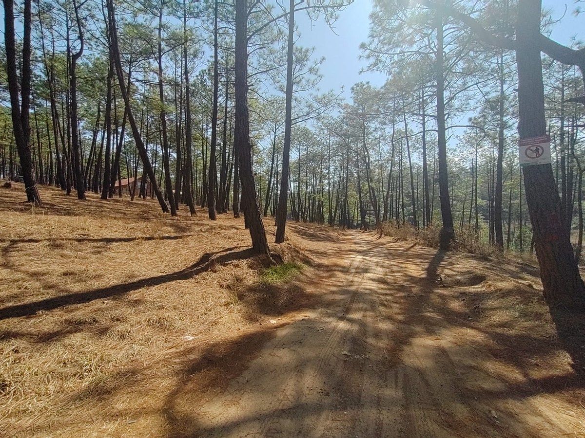 Lot in Lomas de La Campiña, Morelia, photo 3 of 11