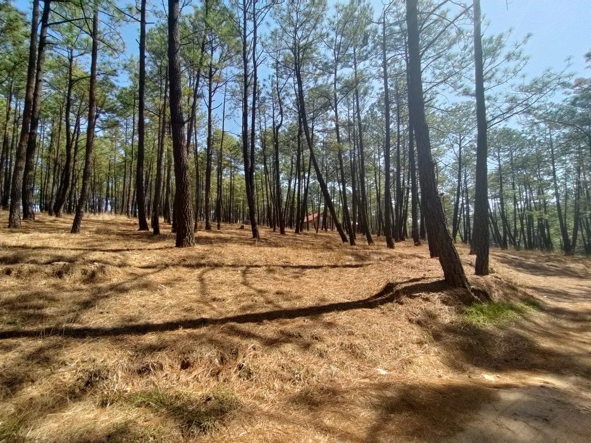 Lot in Lomas de La Campiña, Morelia, photo 5 of 11