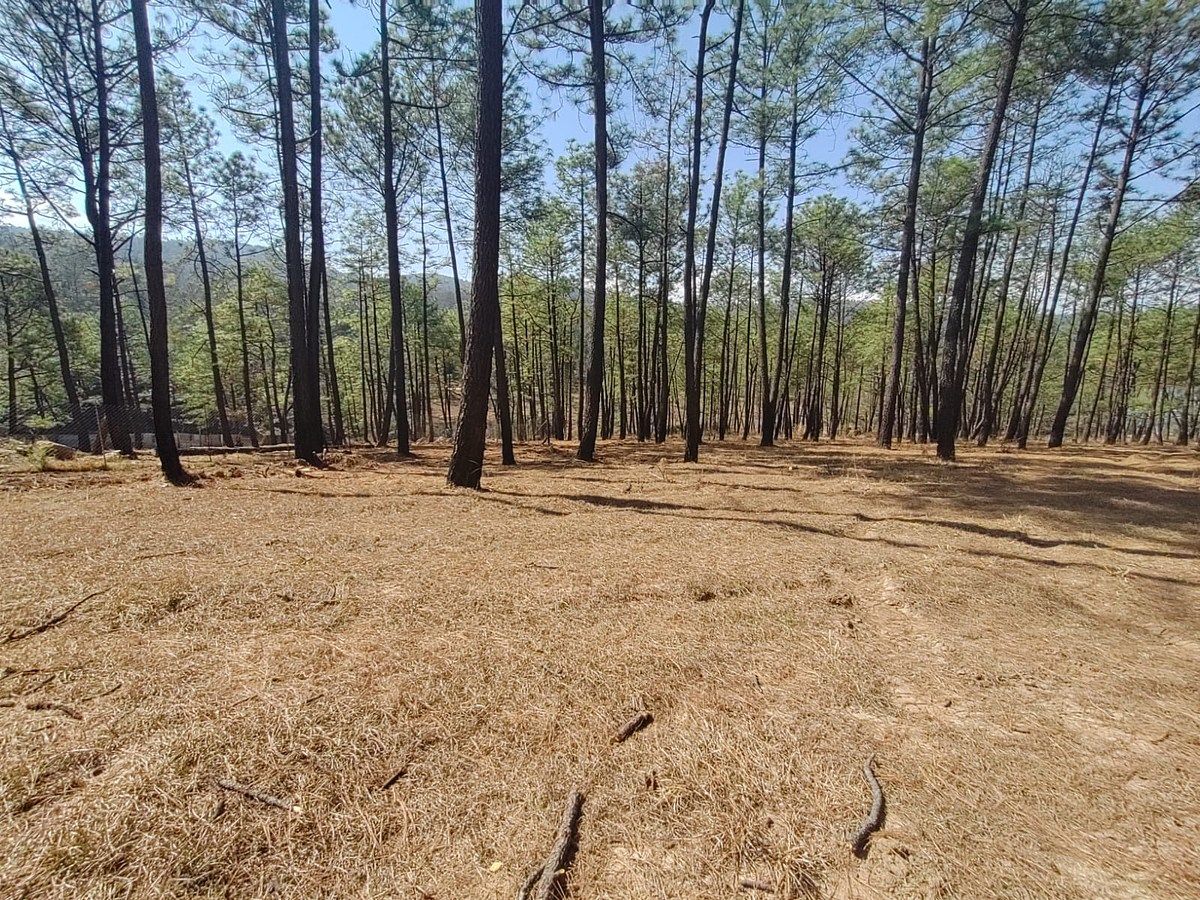 Lot in Lomas de La Campiña, Morelia, photo 11 of 11