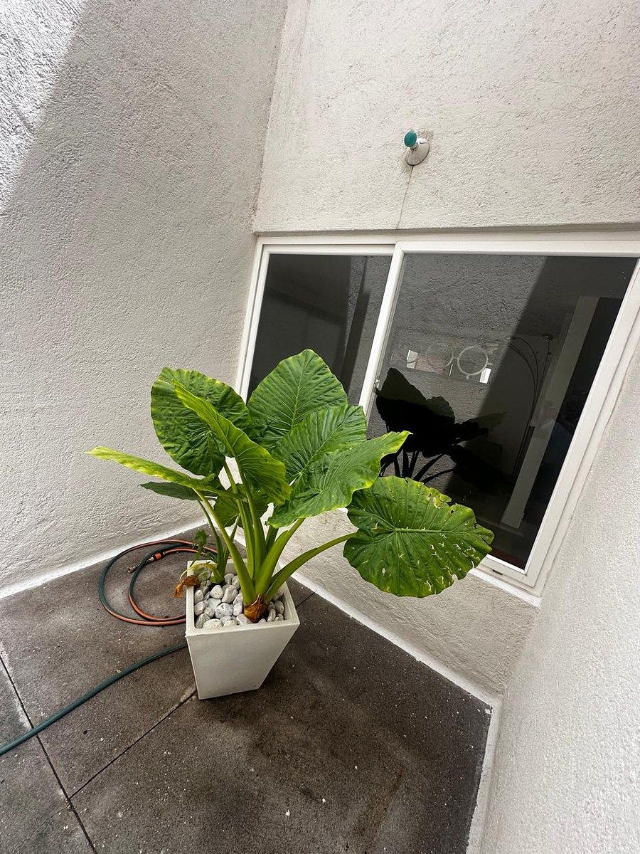 Casa en Cumbres de Juriquilla, Querétaro, foto 14 de 40