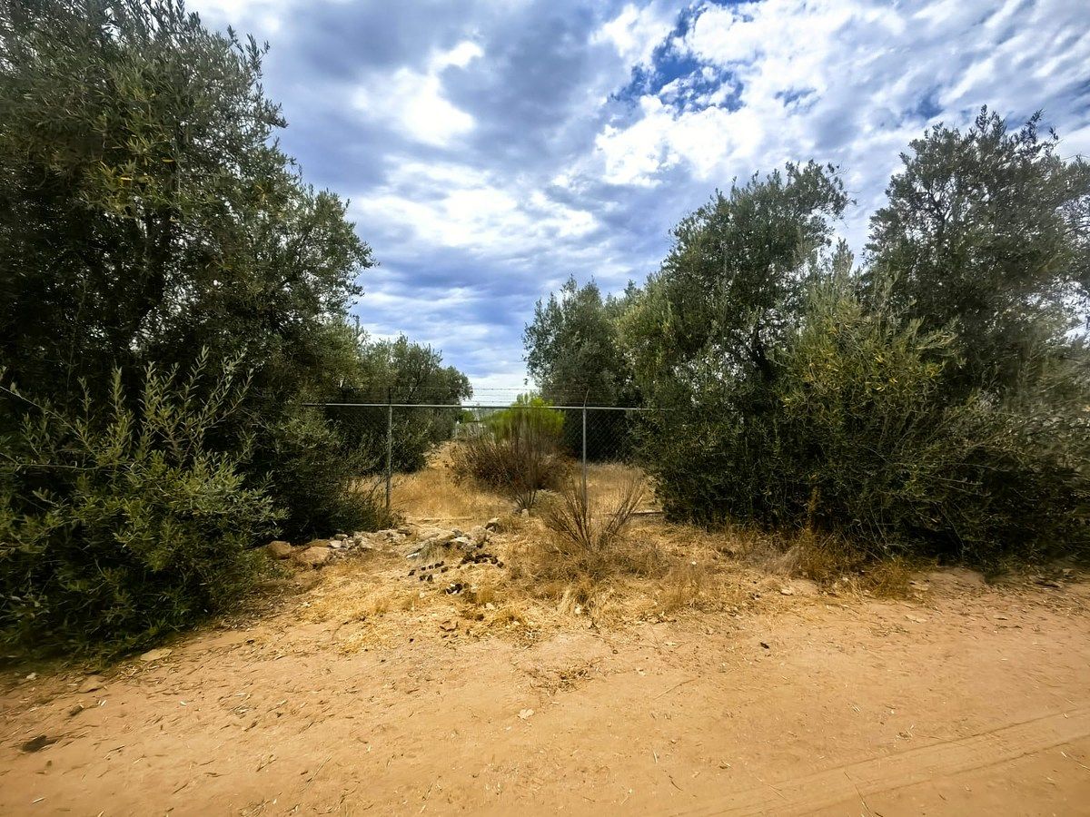 Lot in El Porvenir, Ensenada, photo 2 of 7
