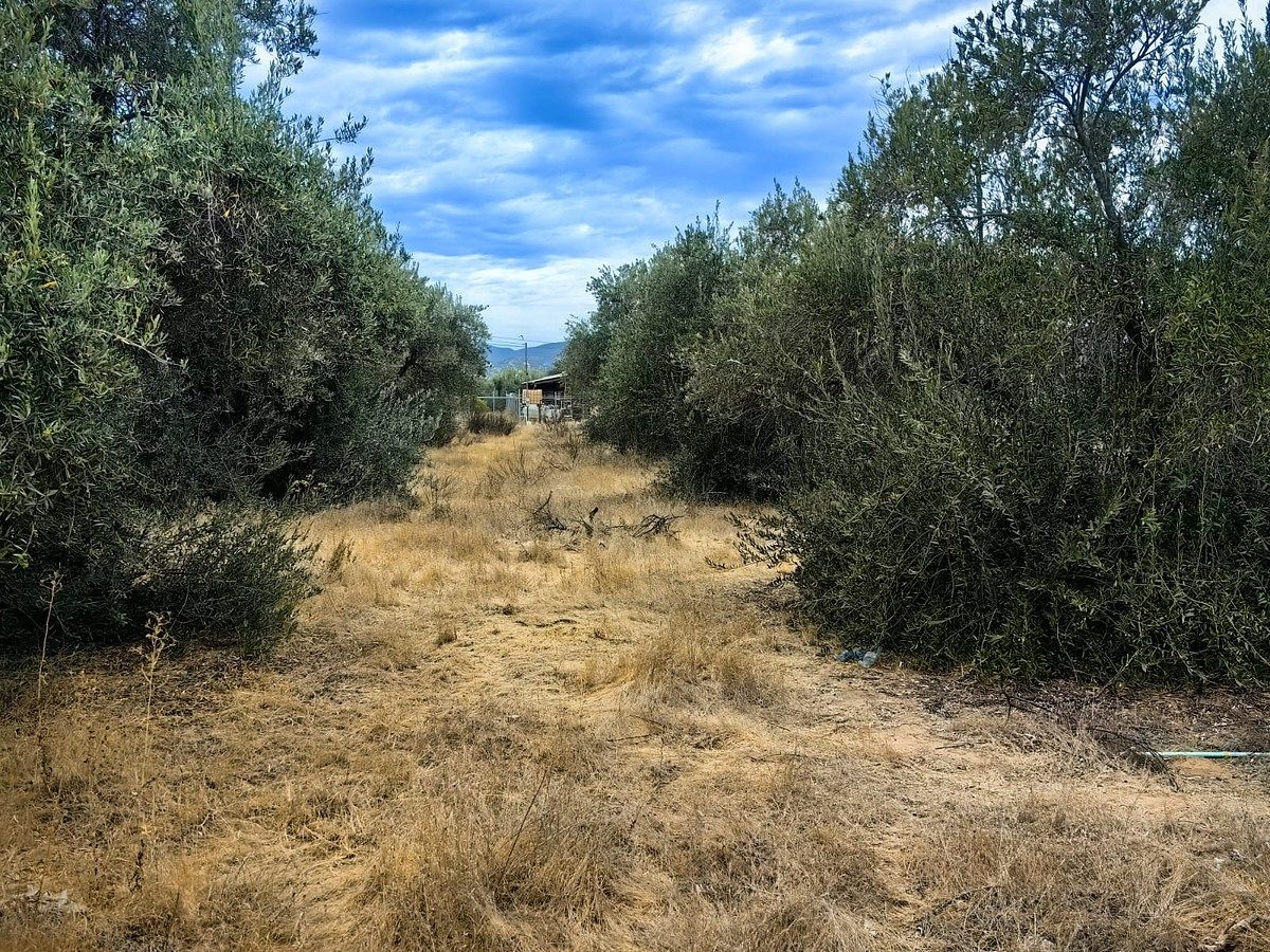 Lot in El Porvenir, Ensenada, photo 3 of 7