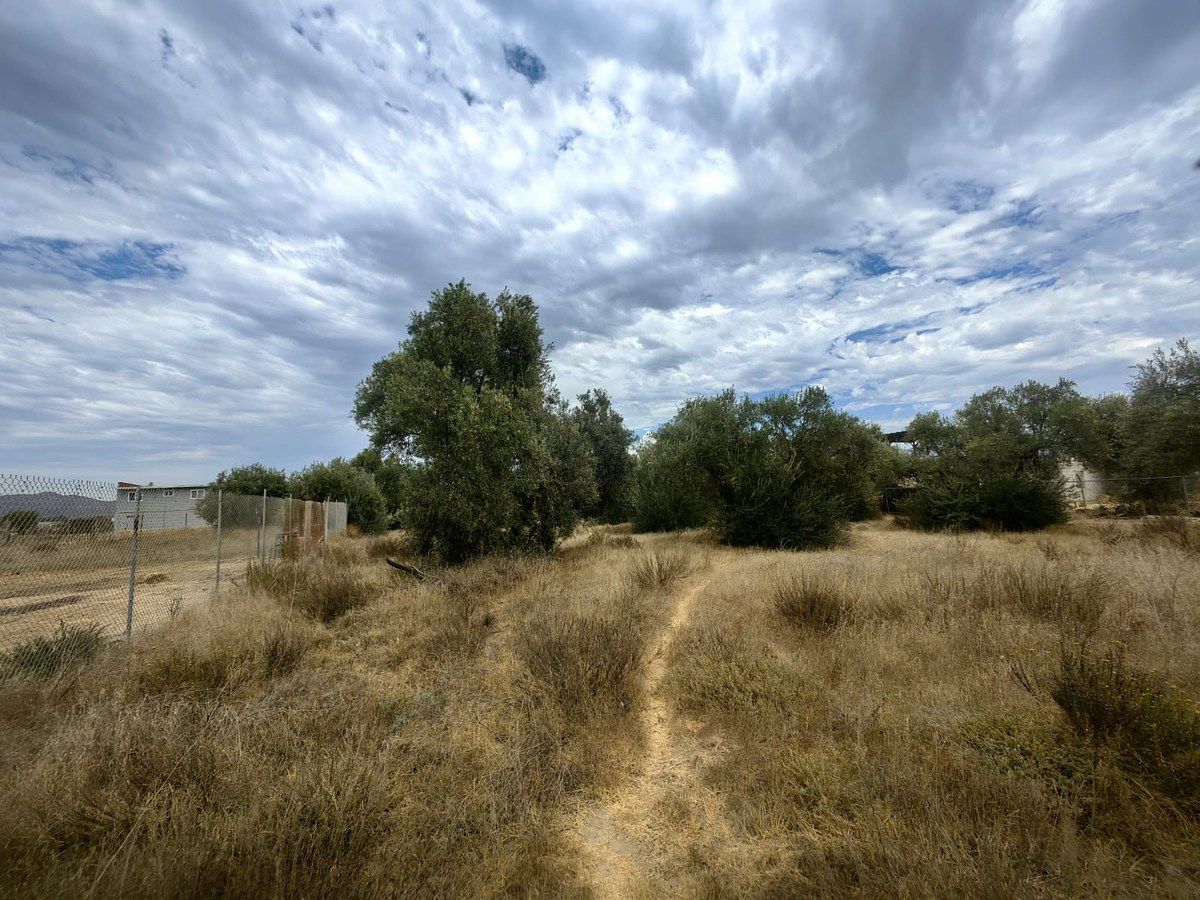 Lot in El Porvenir, Ensenada, photo 4 of 7