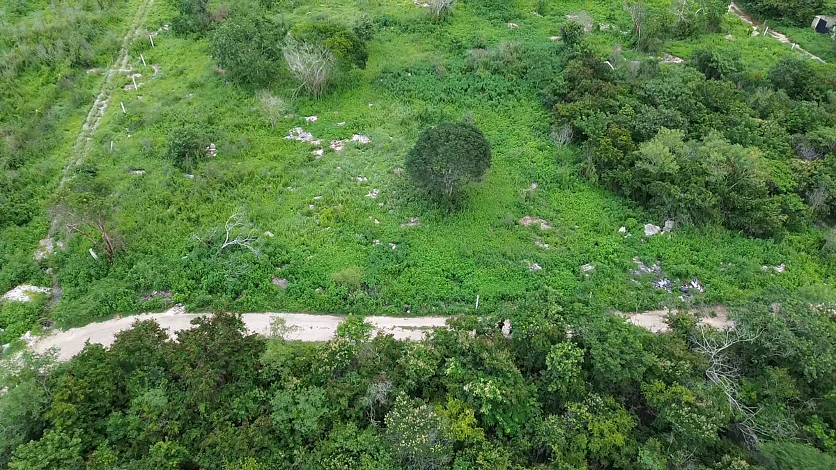 Terreno en Dzityá, Mérida, foto 3 de 9