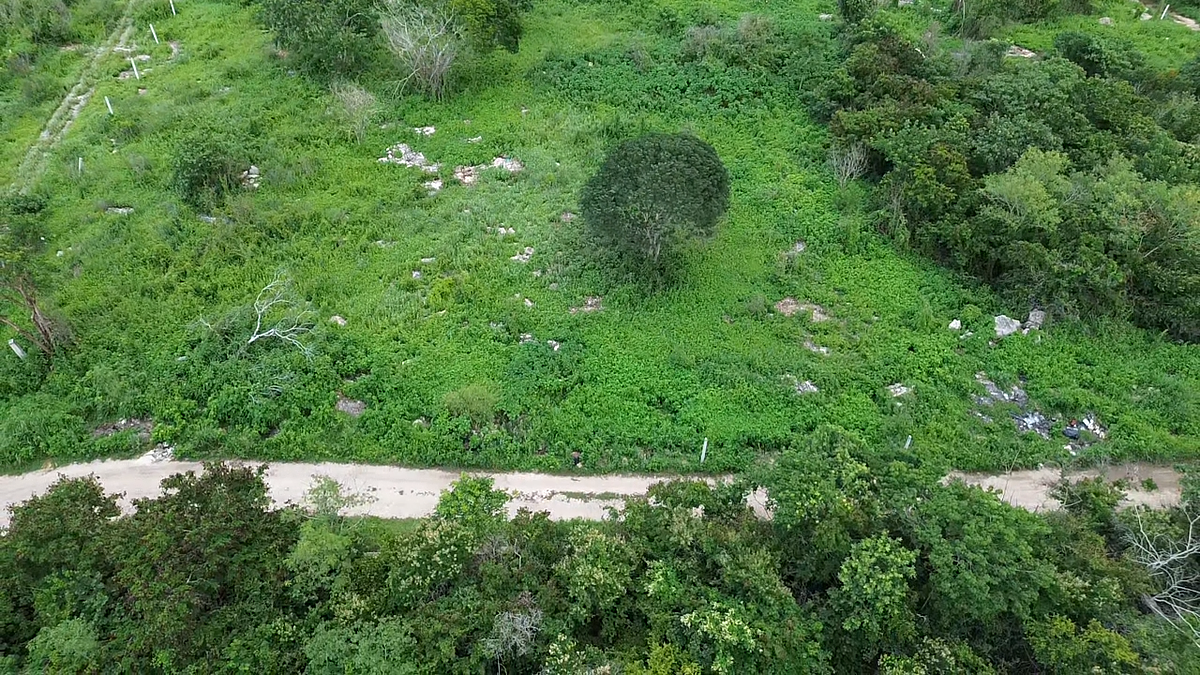 Terreno en Dzityá, Mérida, foto 2 de 9