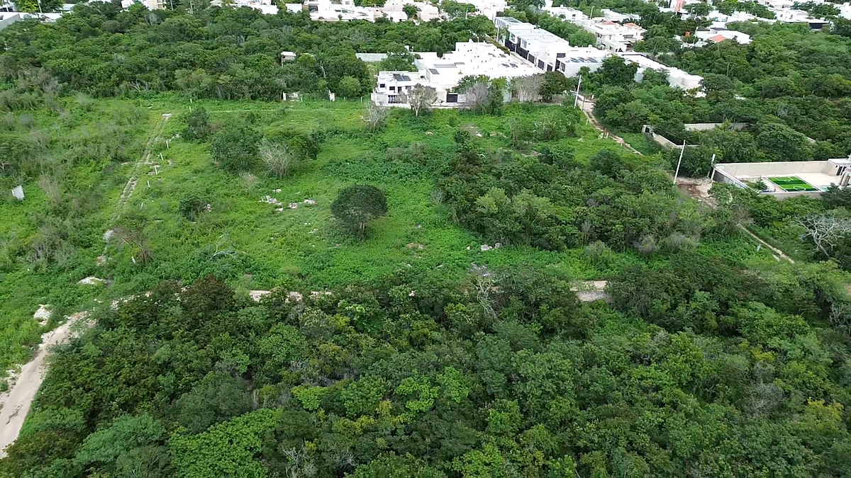 Terreno en Dzityá, Mérida, foto 4 de 9