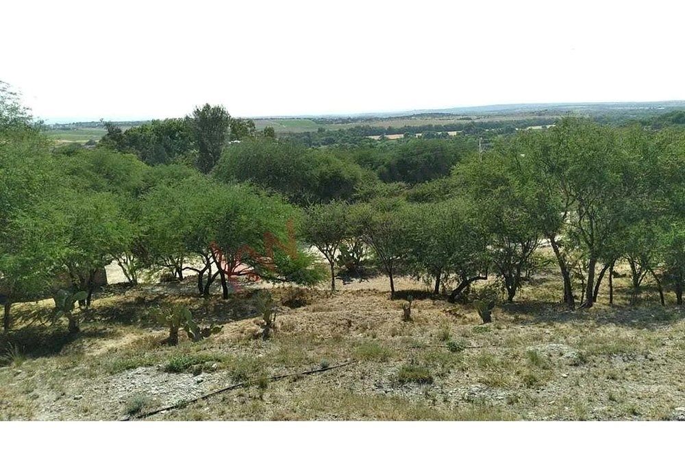 Propiedad Fotografia #5, foto 5 de 9