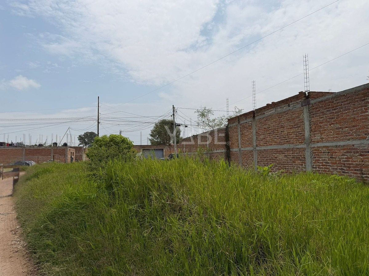 Terreno en Tesistan, Zapopan, foto 4 de 7