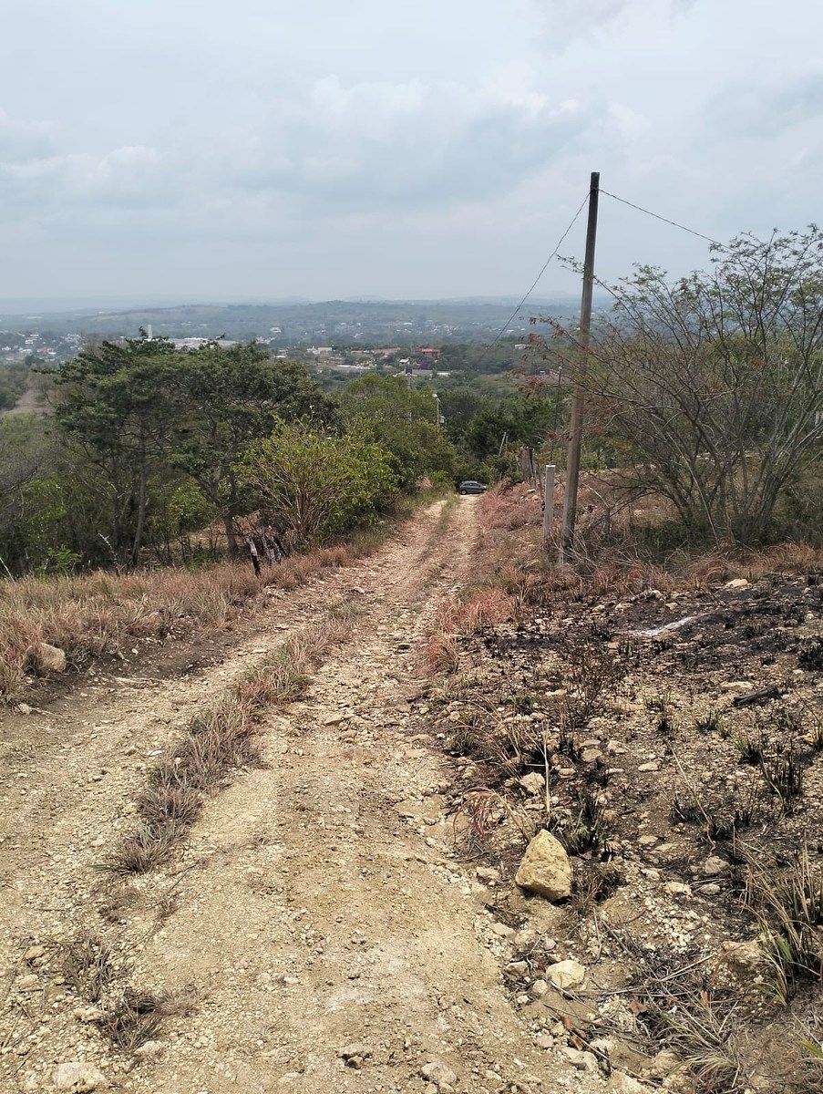 Terreno en Rochesther, Berriozábal, foto 2 de 23