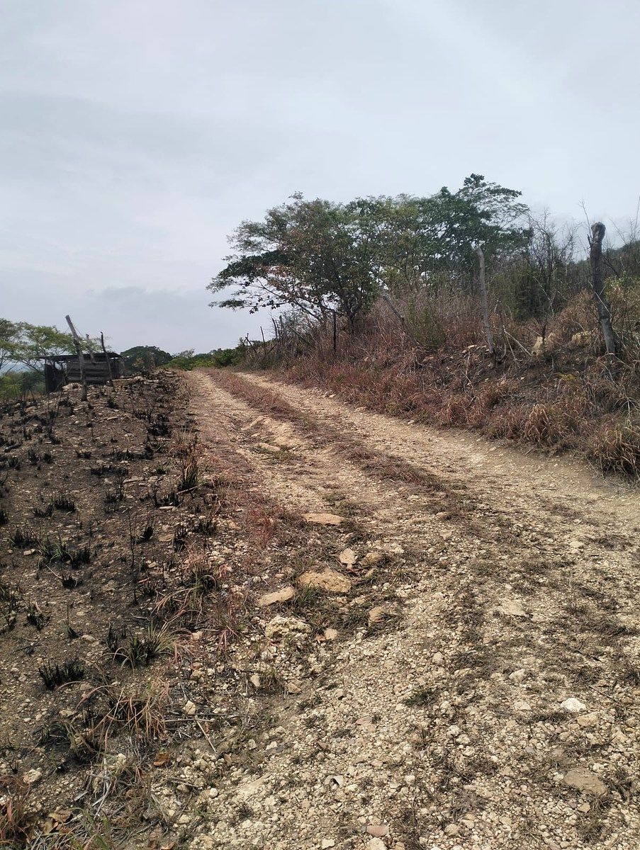 Terreno en Rochesther, Berriozábal, foto 3 de 23