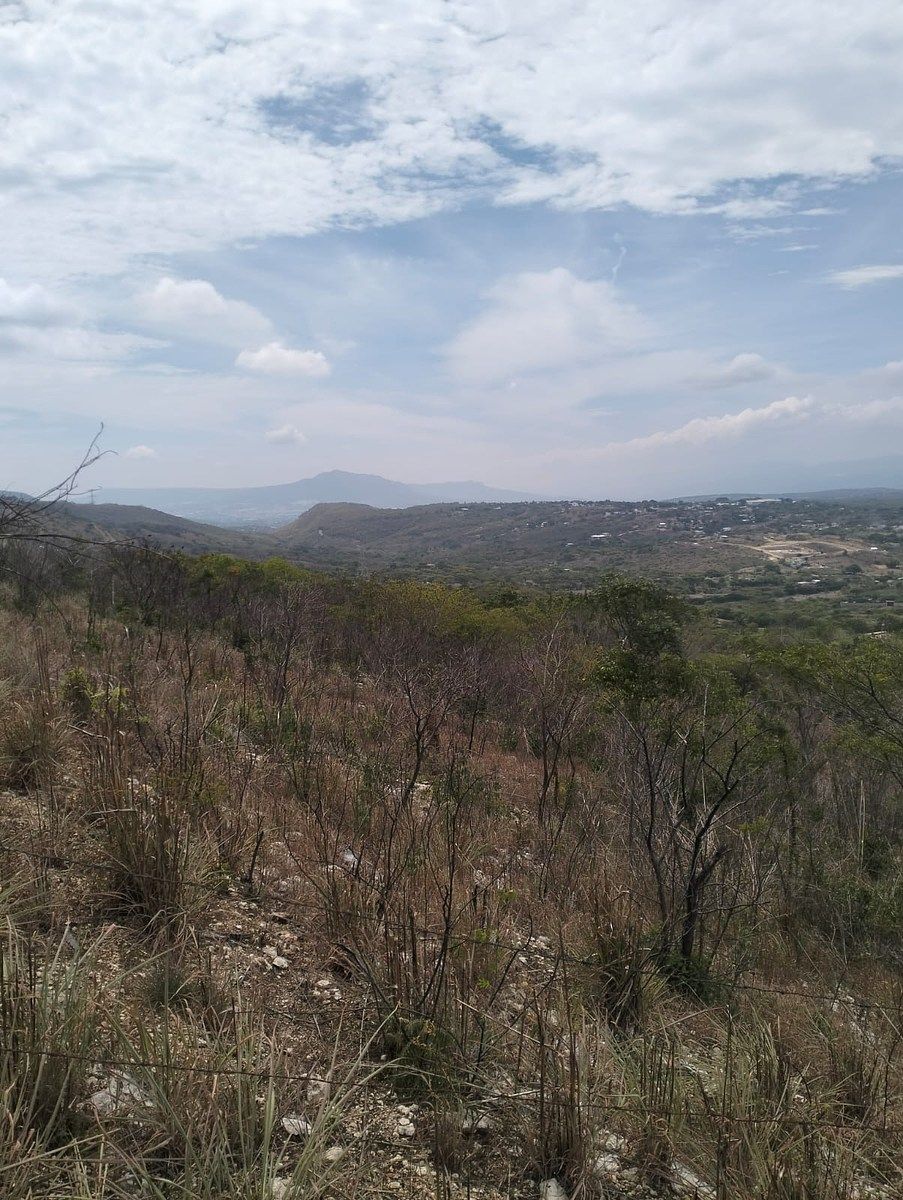Terreno en Rochesther, Berriozábal, foto 4 de 23