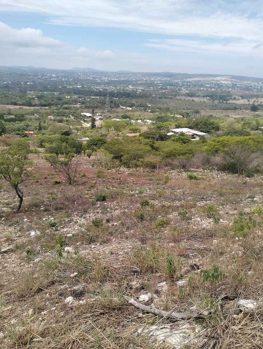 Terreno en Rochesther, Berriozábal, foto 5 de 23