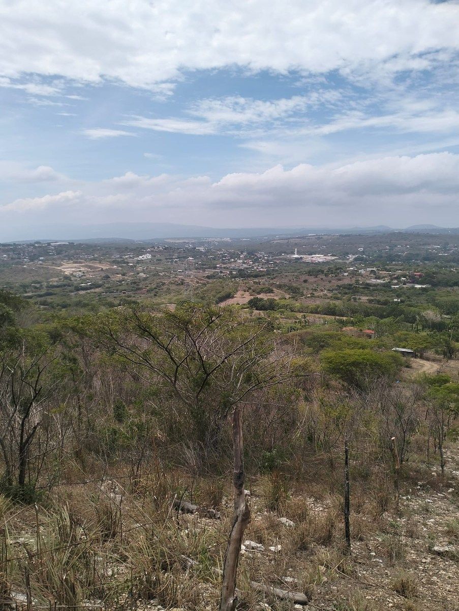 Terreno en Rochesther, Berriozábal, foto 6 de 23