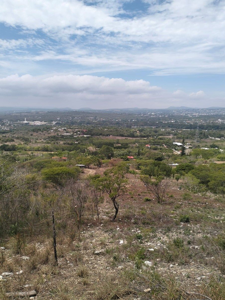 Terreno en Rochesther, Berriozábal, foto 8 de 23