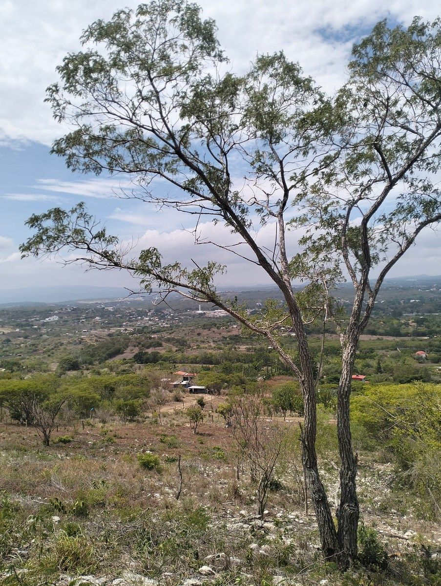 Terreno en Rochesther, Berriozábal, foto 9 de 23
