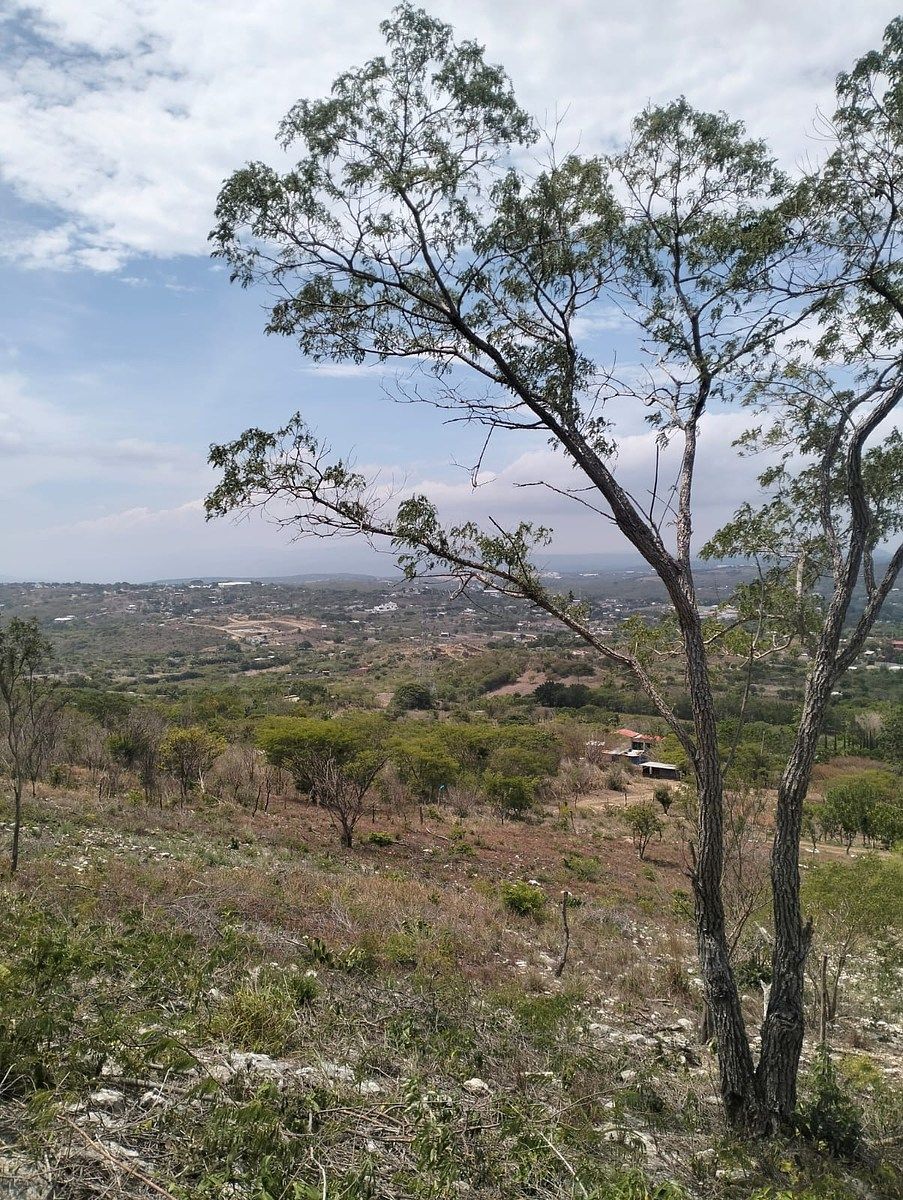 Terreno en Rochesther, Berriozábal, foto 10 de 23