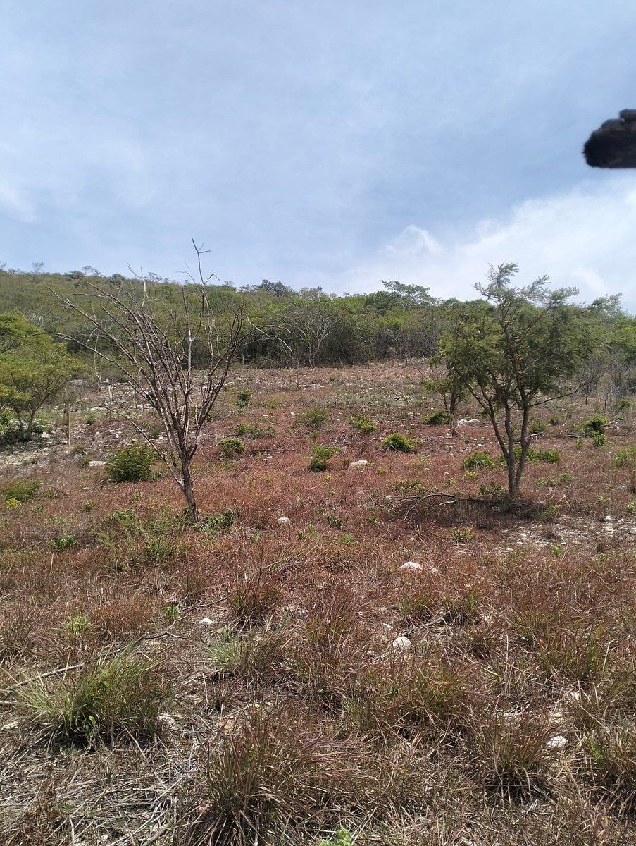 Terreno en Rochesther, Berriozábal, foto 11 de 23