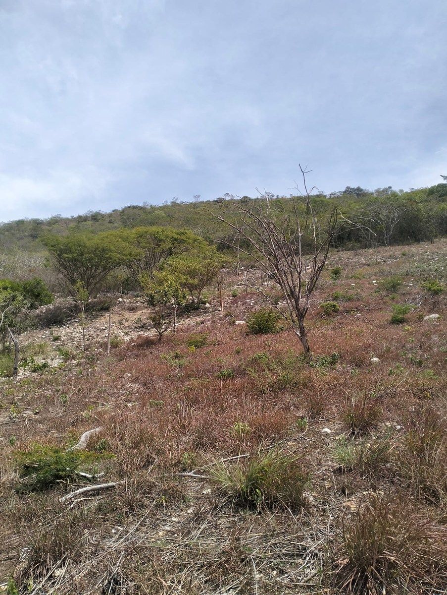 Terreno en Rochesther, Berriozábal, foto 12 de 23
