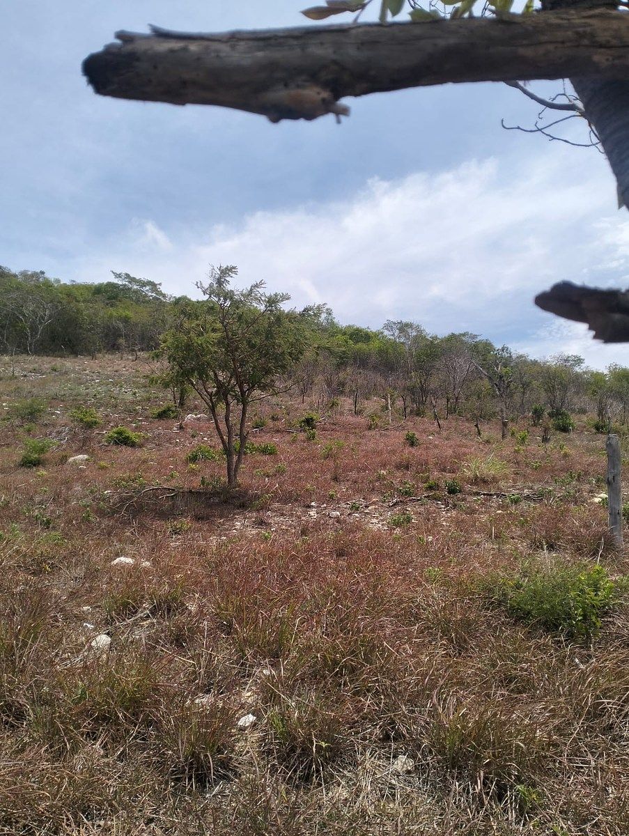 Terreno en Rochesther, Berriozábal, foto 13 de 23
