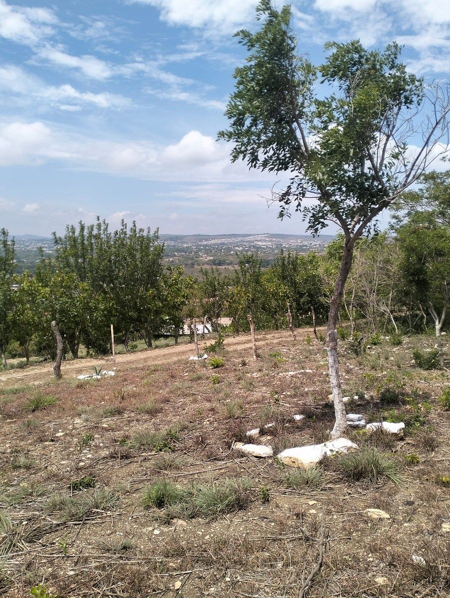 Terreno en Rochesther, Berriozábal, foto 14 de 23