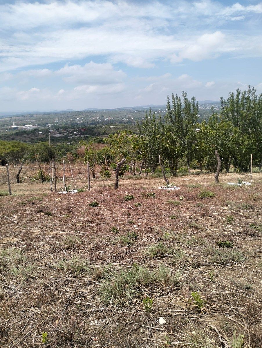 Terreno en Rochesther, Berriozábal, foto 15 de 23