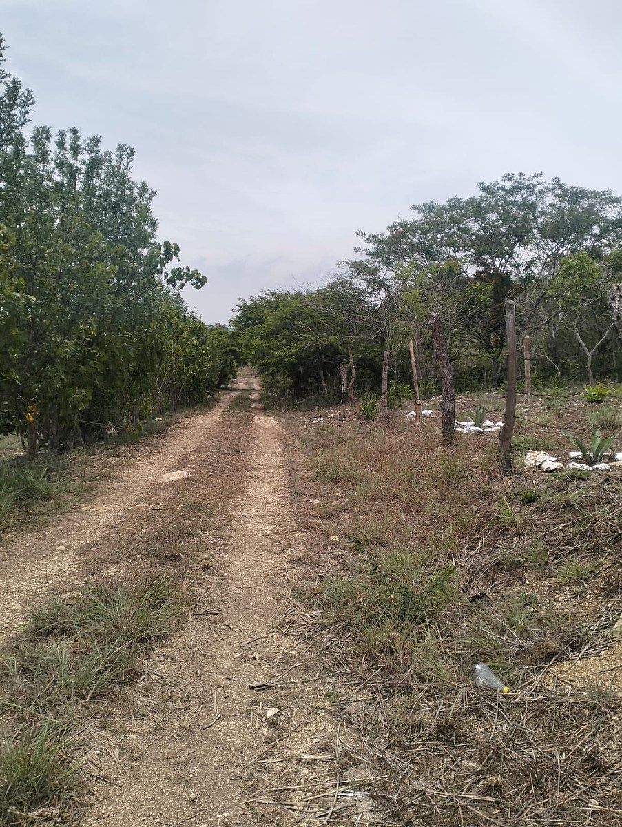 Terreno en Rochesther, Berriozábal, foto 17 de 23