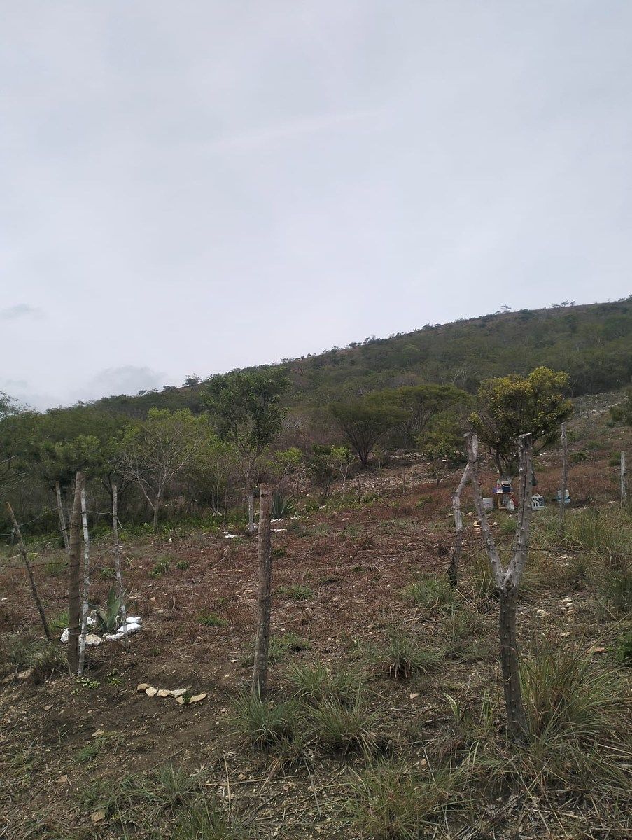 Terreno en Rochesther, Berriozábal, foto 18 de 23