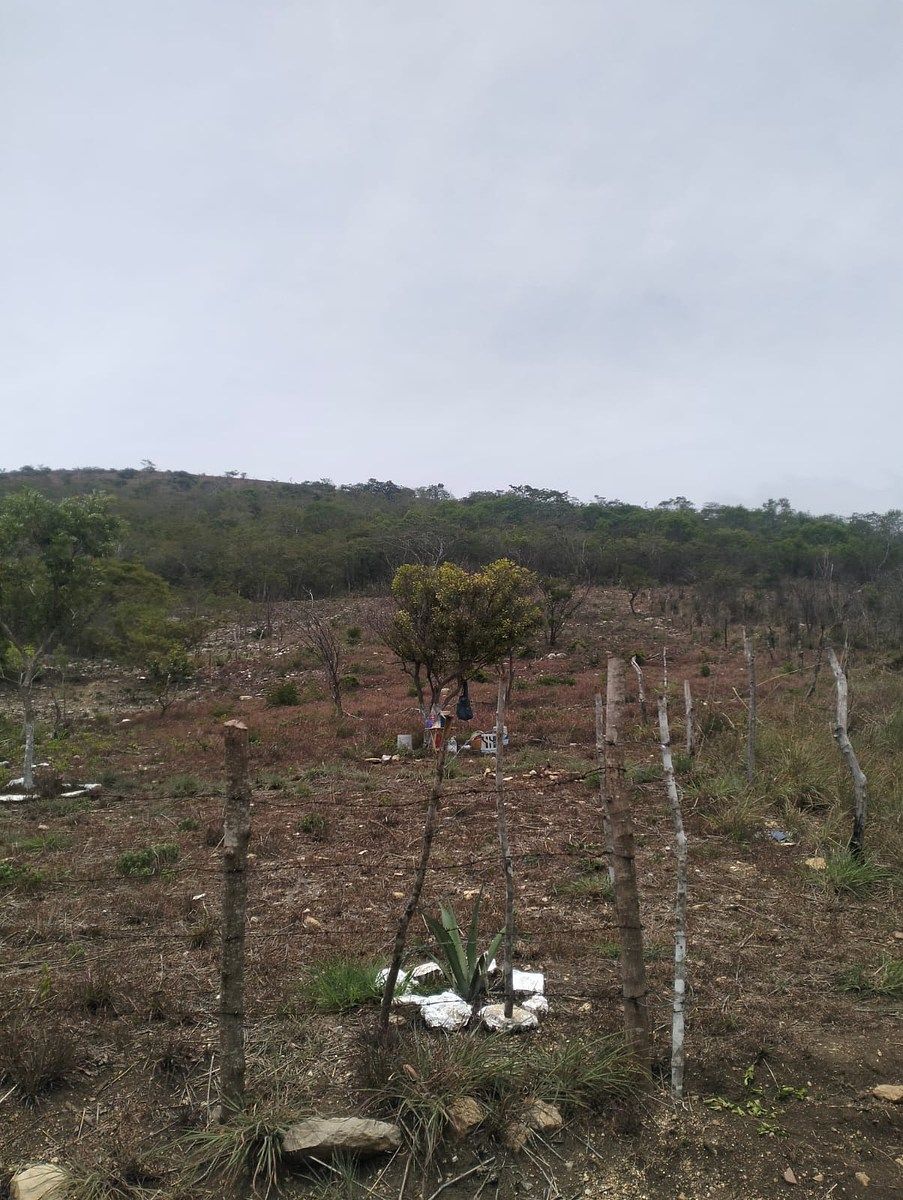 Terreno en Rochesther, Berriozábal, foto 19 de 23