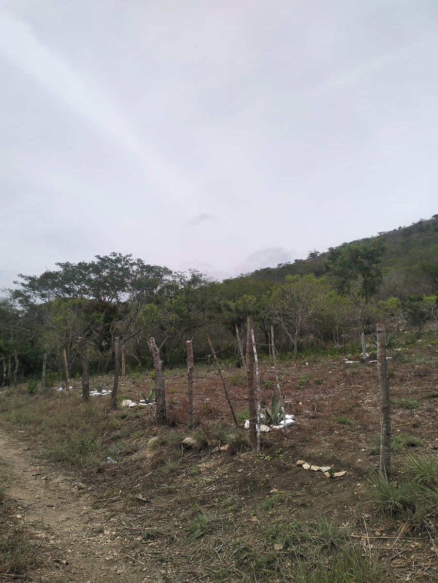 Terreno en Rochesther, Berriozábal, foto 20 de 23
