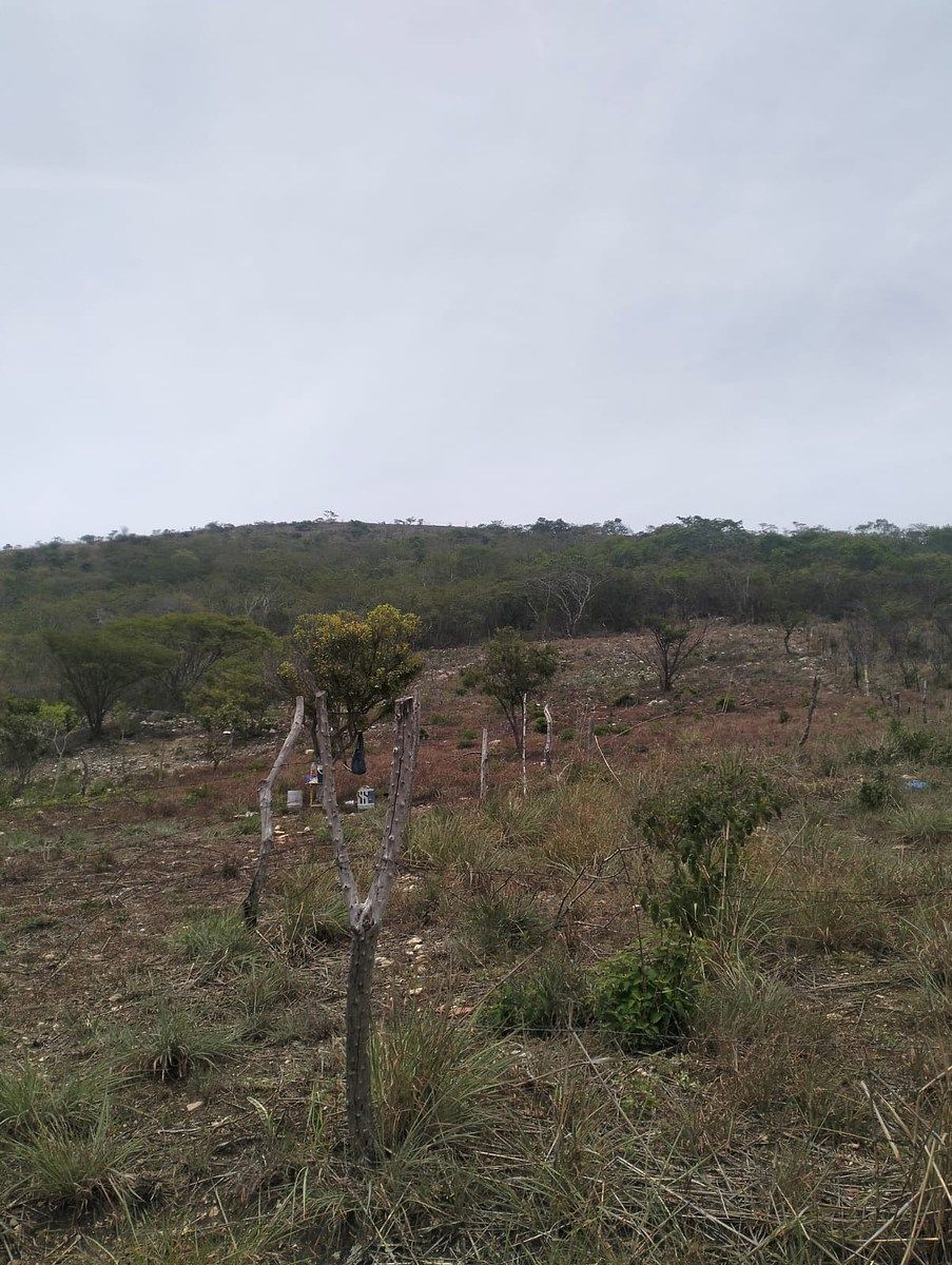 Terreno en Rochesther, Berriozábal, foto 21 de 23