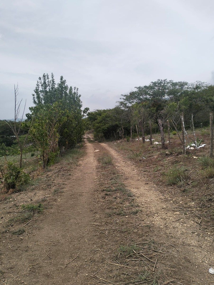 Terreno en Rochesther, Berriozábal, foto 22 de 23