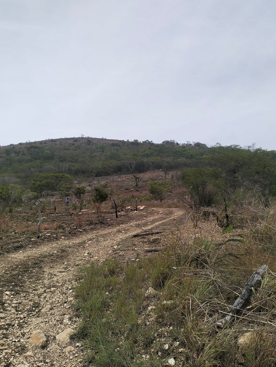 Terreno en Rochesther, Berriozábal, foto 23 de 23