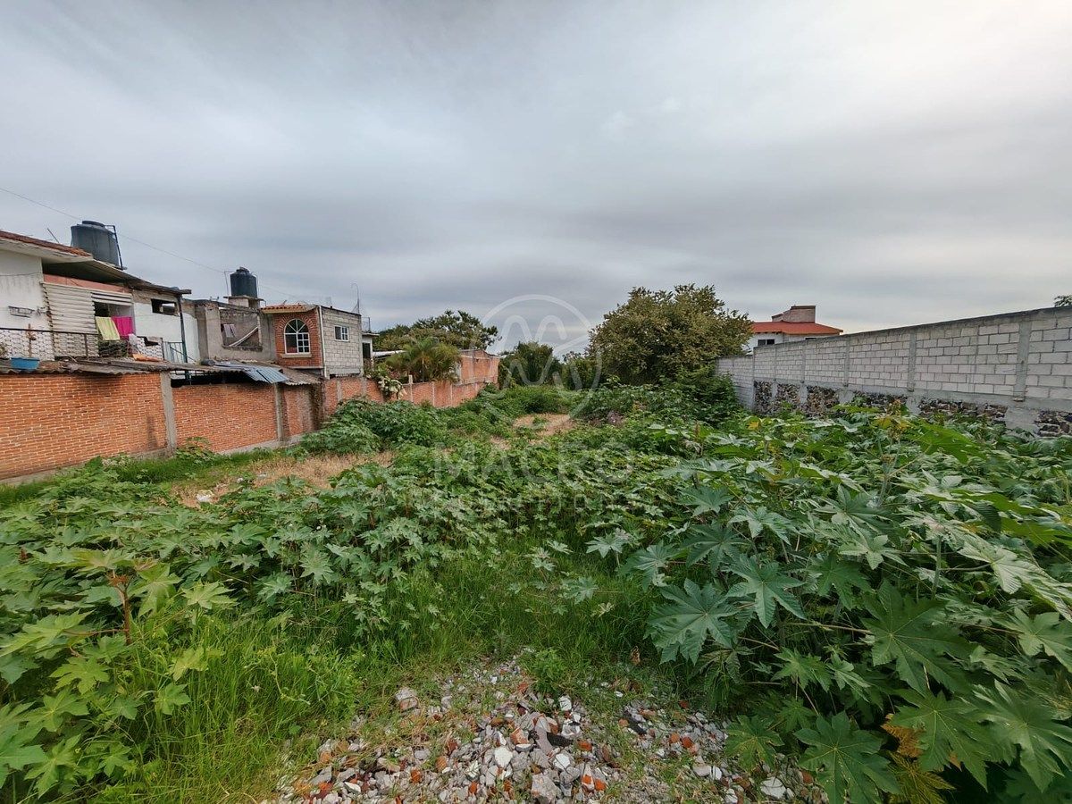 LAND FOR SALE IN OAXTEPEC, YAUTEPEC, MOR. DEEDED, photo 1 of 4