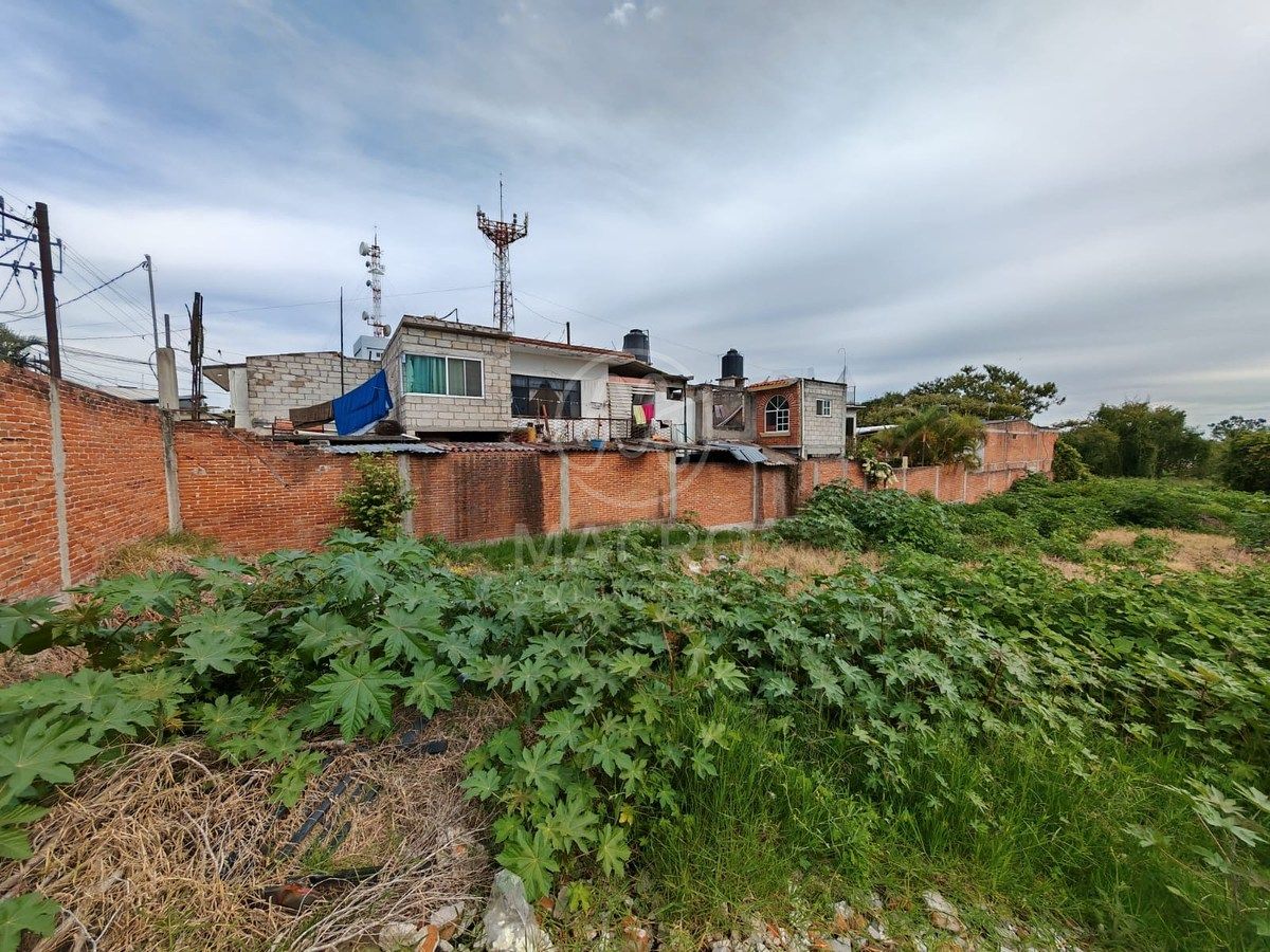 Lot in Oaxtepec Centro, Yautepec, photo 3 of 4