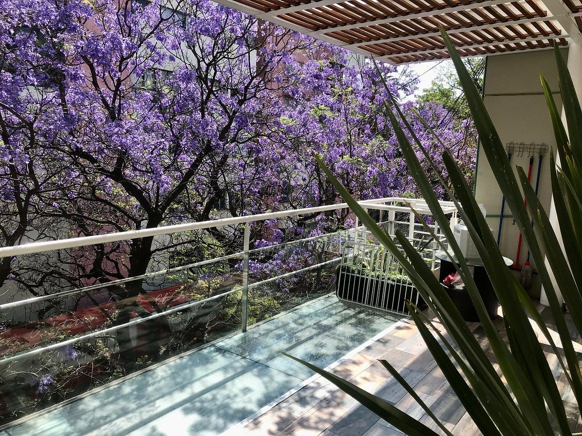 Apartamento em Anzures, Miguel Hidalgo, foto 2 de 19