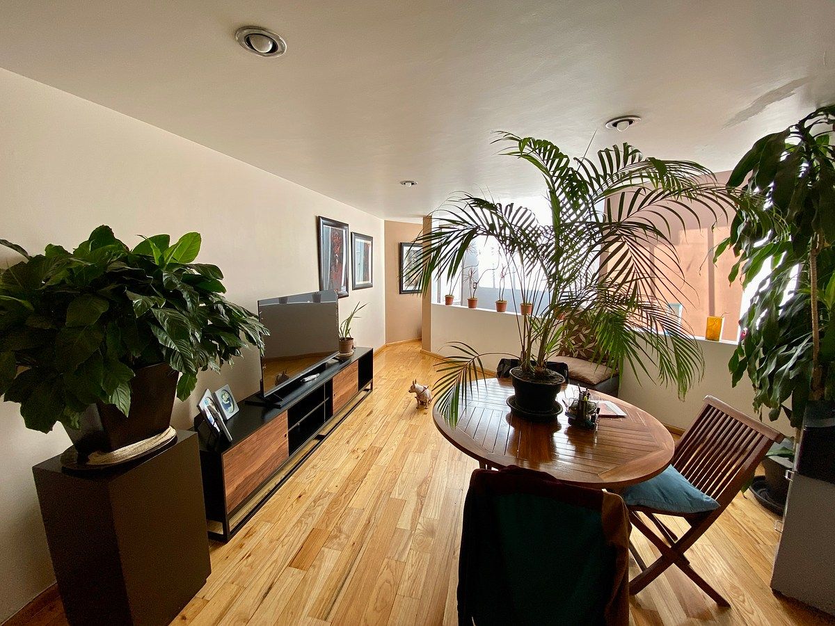 Apartamento em Anzures, Miguel Hidalgo, foto 8 de 19