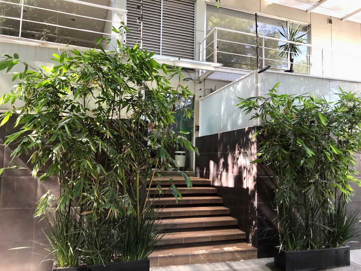 Apartamento em Anzures, Miguel Hidalgo, foto 19 de 19
