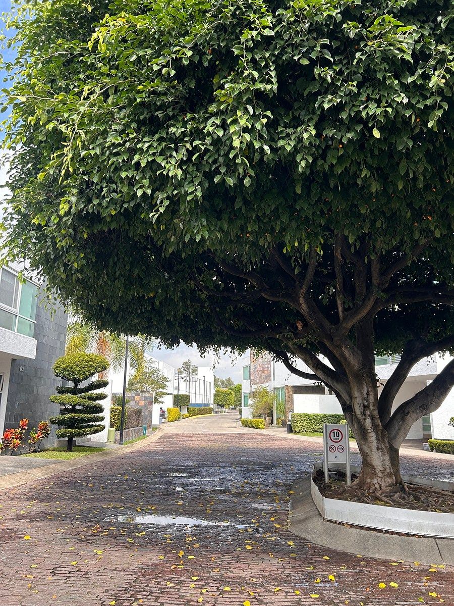 Casa em condomínio fechado em Jocotan, Zapopan, foto 2 de 12
