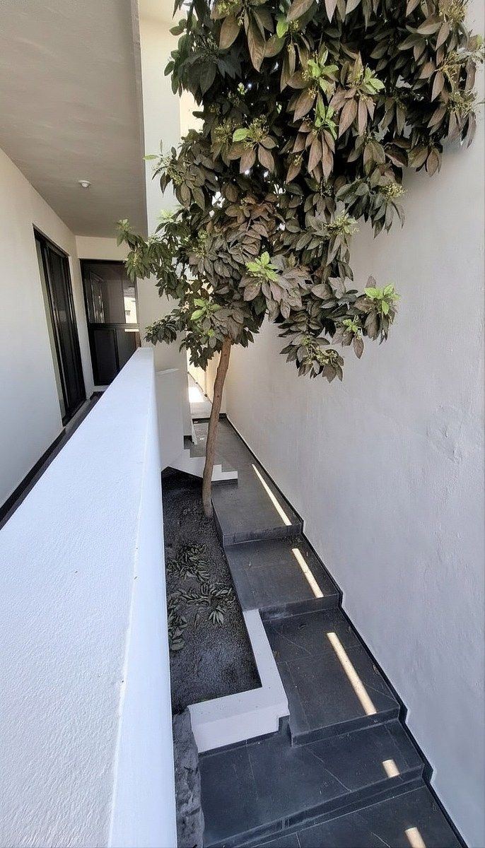Casa em Las Brisas, Monterrey, foto 17 de 17
