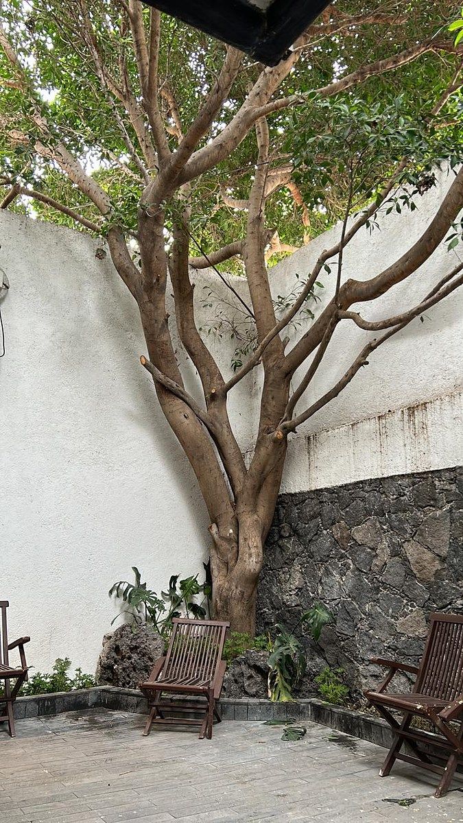 Casa em Cimatario, Querétaro, foto 18 de 19