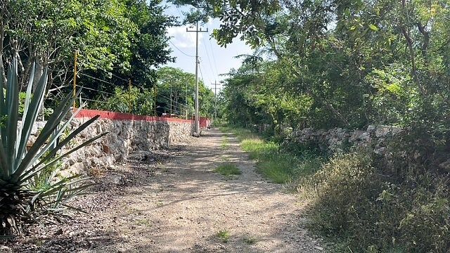 Terreno en Baca, Baca, foto 7 de 13