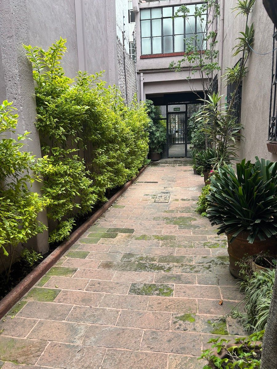 Casa com uso comercial em San Pedro de los Pinos, Benito Juárez, foto 11 de 22