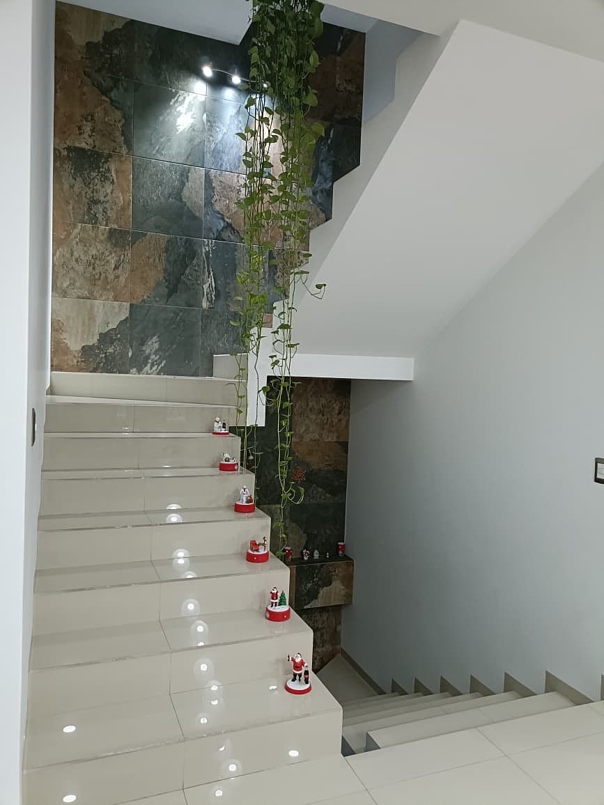 Escaleras, photo 2 of 14