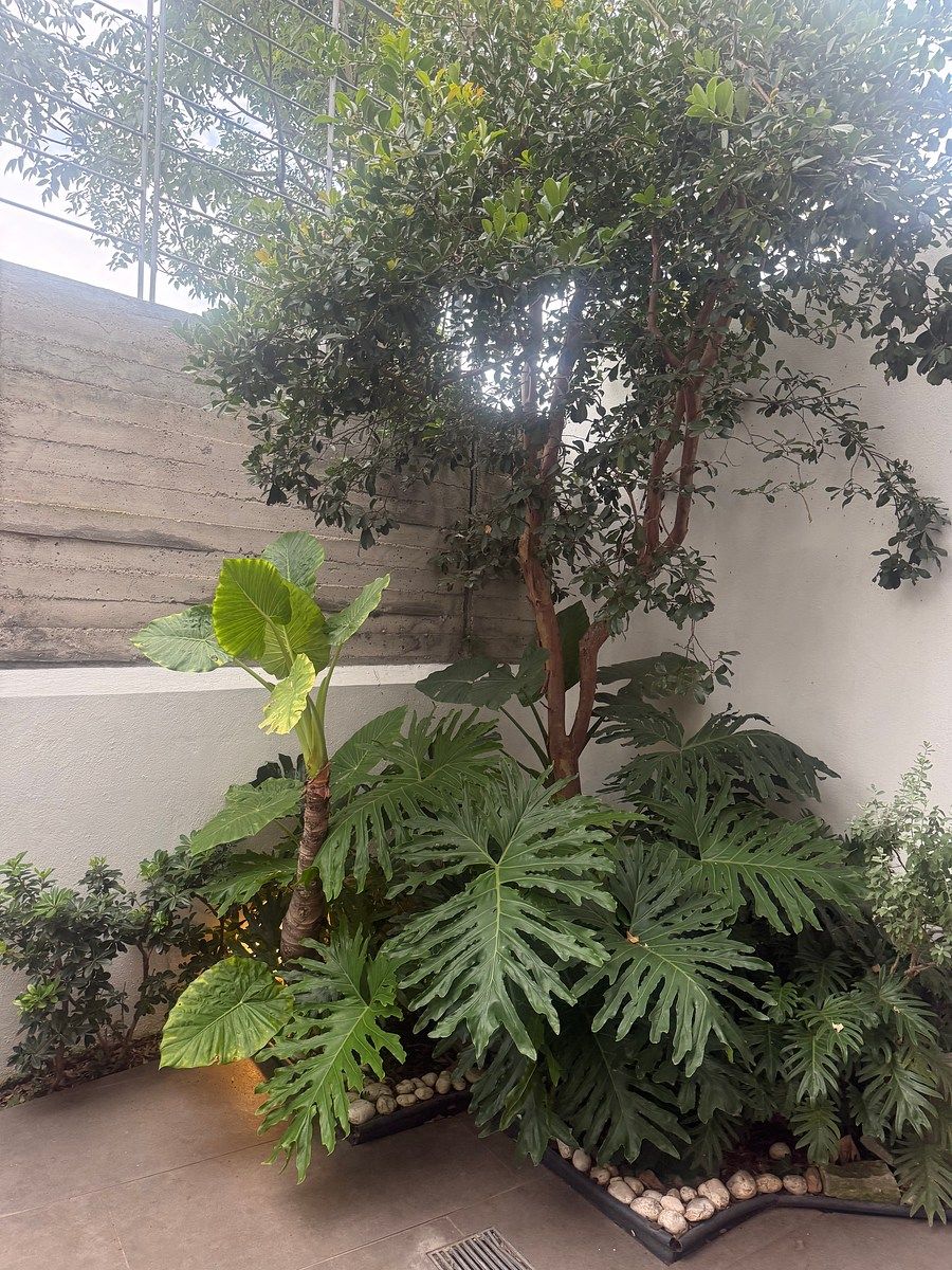 House in Parques Vallarta, Zapopan, photo 12 of 20
