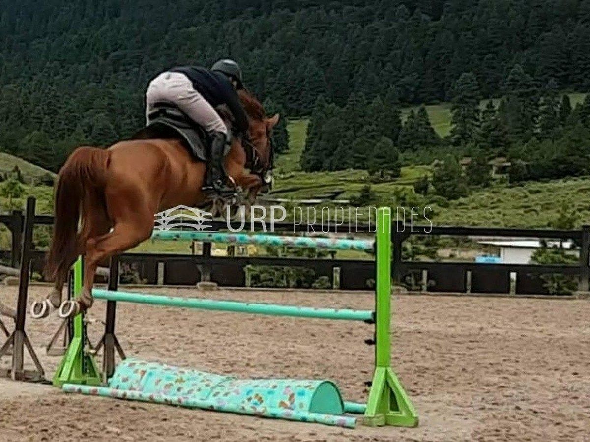Rancho en Salazar, Lerma, foto 10 de 16
